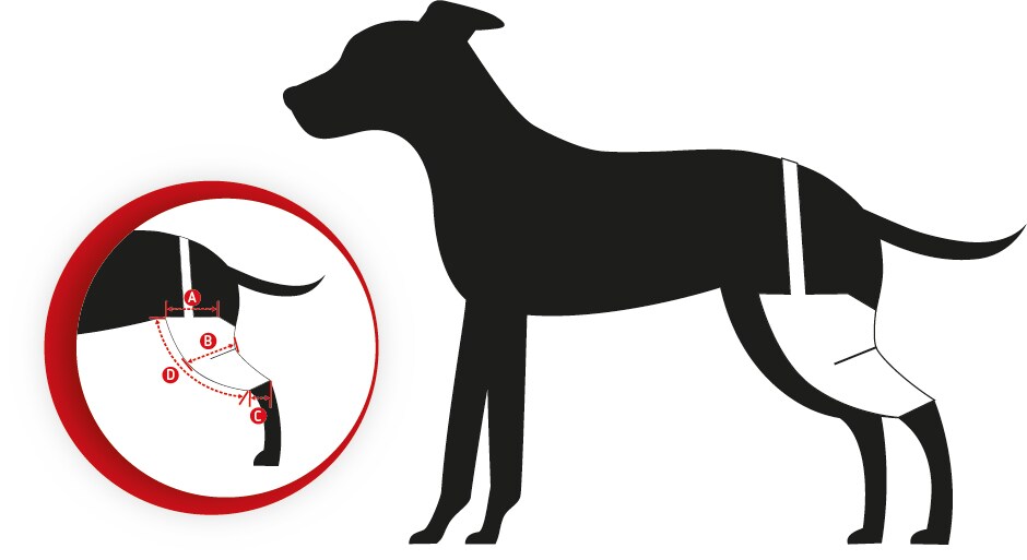 Tierarzt24 Neopren Knieprotektor links_1