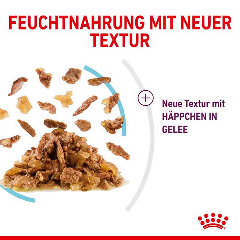 Royal Canin Sensory Feel Nassfutter in Gelee für wählerische Katzen_4