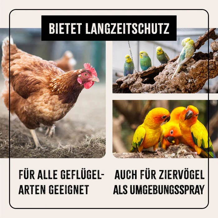 AniForte Milben-STOP Spray für Geflügel_5