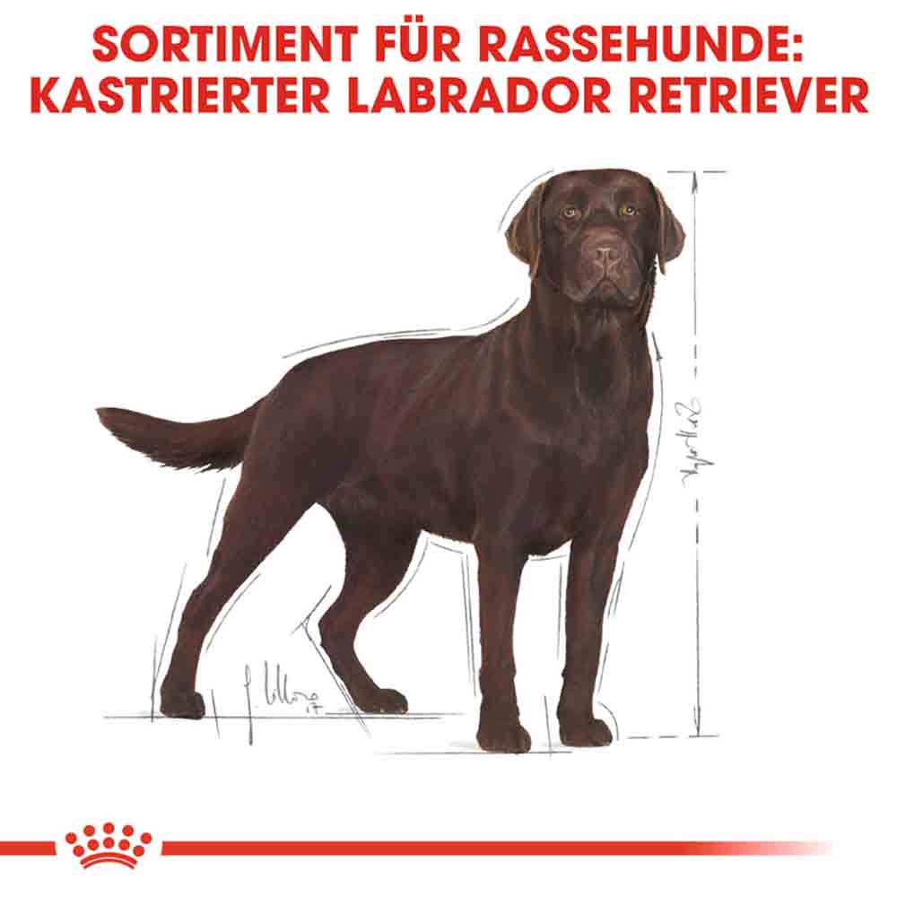 Royal Canin Labrador Retriever Adult Sterilised Trockenfutter für kastrierte Hunde_2