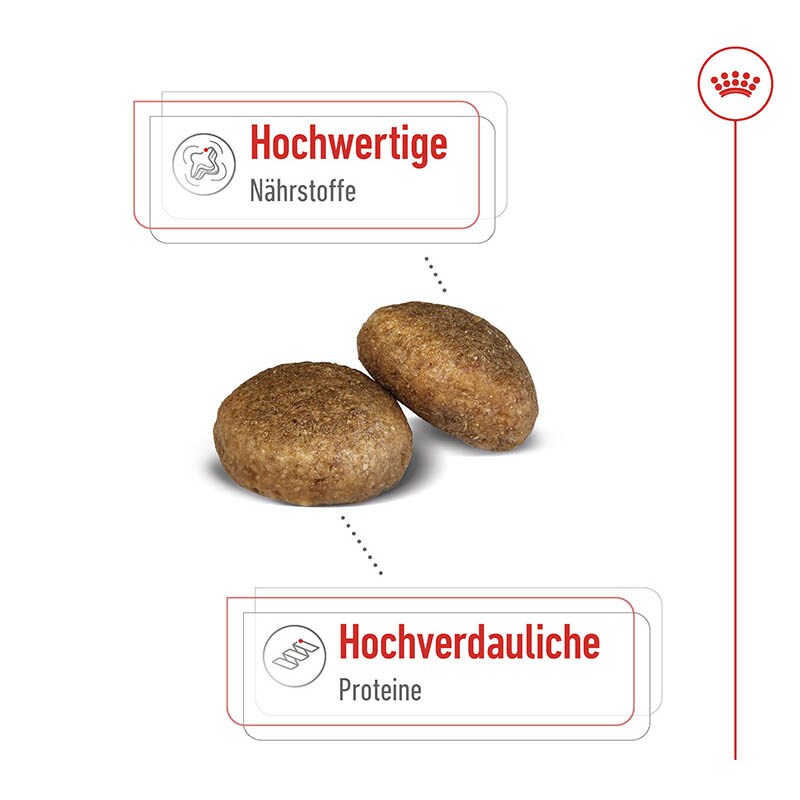 Royal Canin Maxi Adult Trockenfutter für große Hunde_3