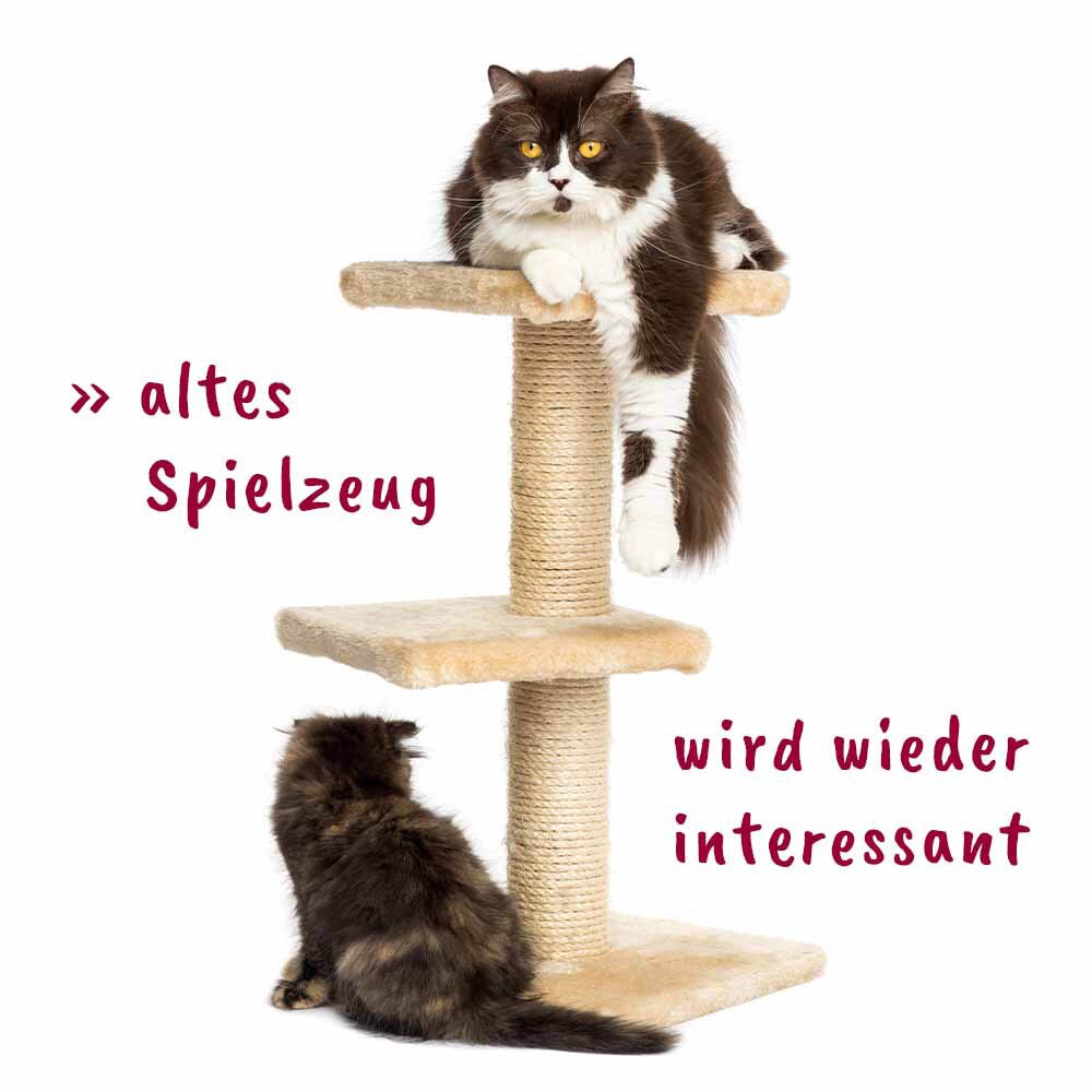 cdVet feliTATZ KatzenMinze Spray_3