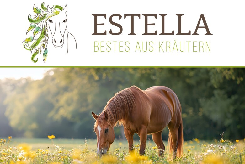 Estella