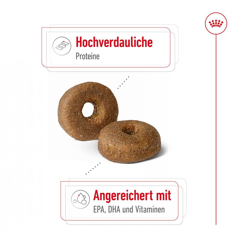 Royal Canin Maxi Ageing 8+ Trockenfutter für ältere große Hunde_2
