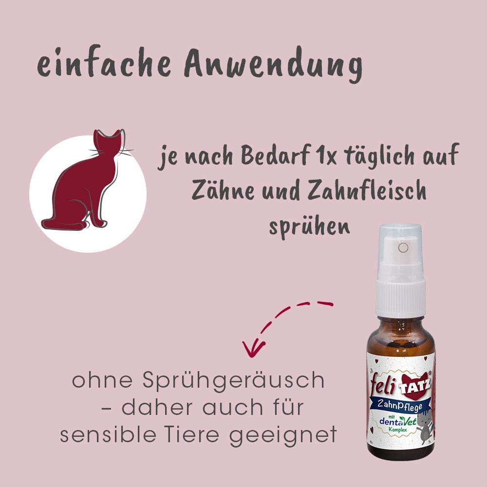 cdVet feliTATZ ZahnPflege_4