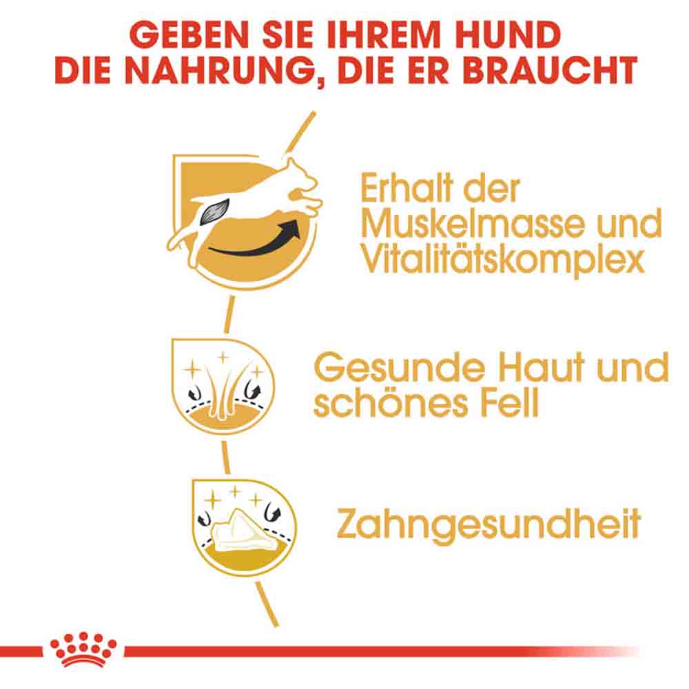 Royal Canin Jack Russell Terrier Adult Hundefutter trocken_3