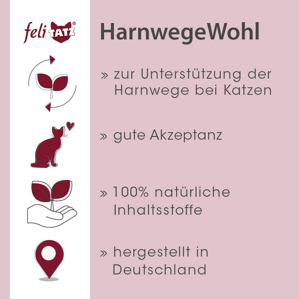 cdVet feliTATZ HarnwegeWohl_1