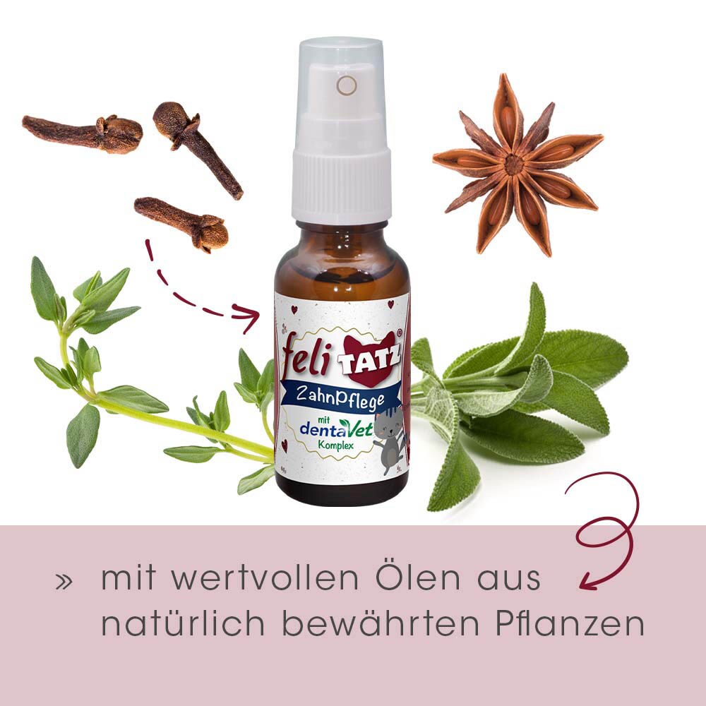 cdVet feliTATZ ZahnPflege_3