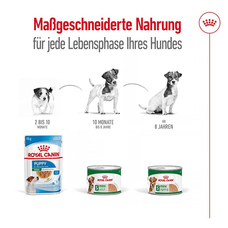 Royal Canin Mini Ageing Feuchtnahrung als Mousse (>8. Lebensjahr)_3