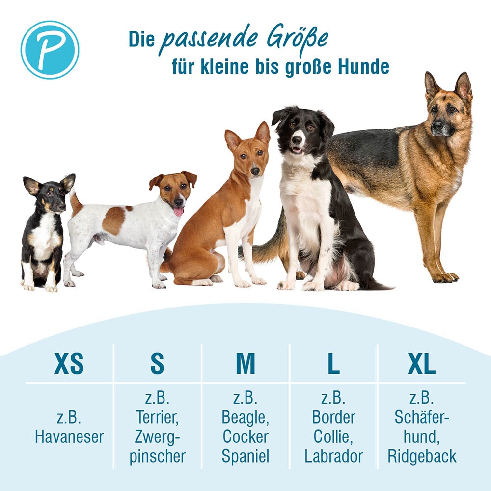 Petlando Outdoor Geschirr petrol_6