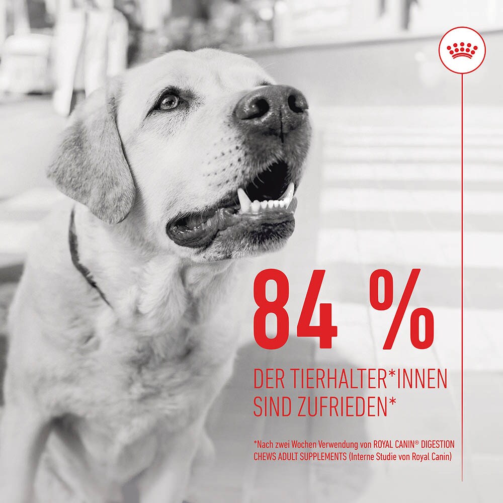 Royal Canin Digestion Chews Adult Supplements_7