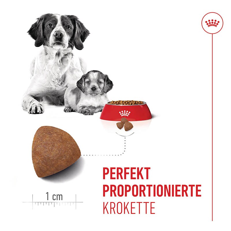Royal Canin Starter Medium Dog_3
