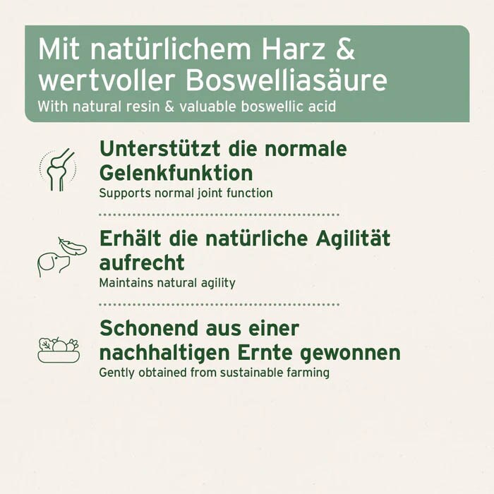 AniForte Weihrauch-Kapseln_2