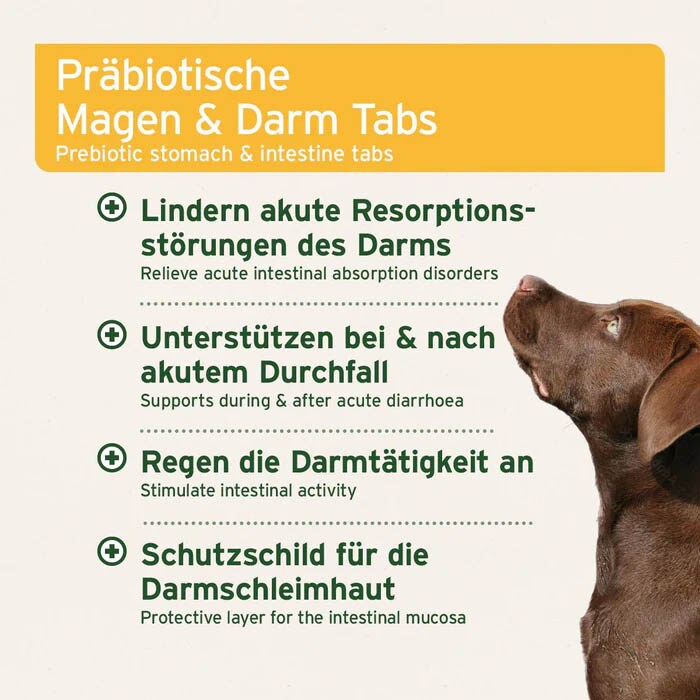 AniForte plus Magen & Darm_1