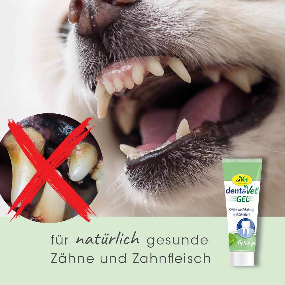 cdVet dentaVet Gel_2