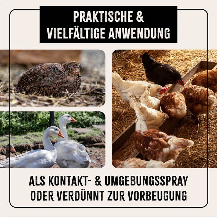 AniForte Milben-STOP Spray für Geflügel_3