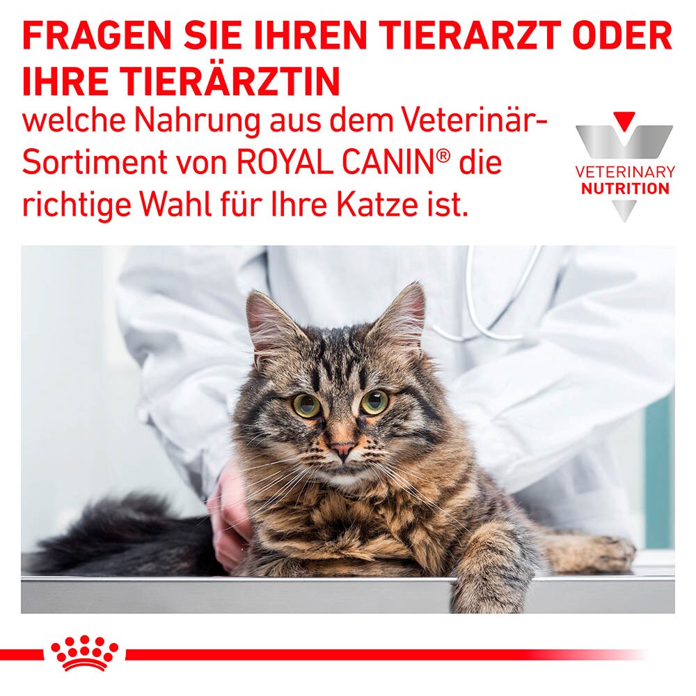 Royal Canin Veterinary Gastrointestinal Moderate Calorie Nassfutter für Katzen_5