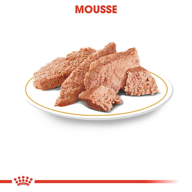 Royal Canin Poodle Adult in Soße Hundefutter nass für Pudel_4