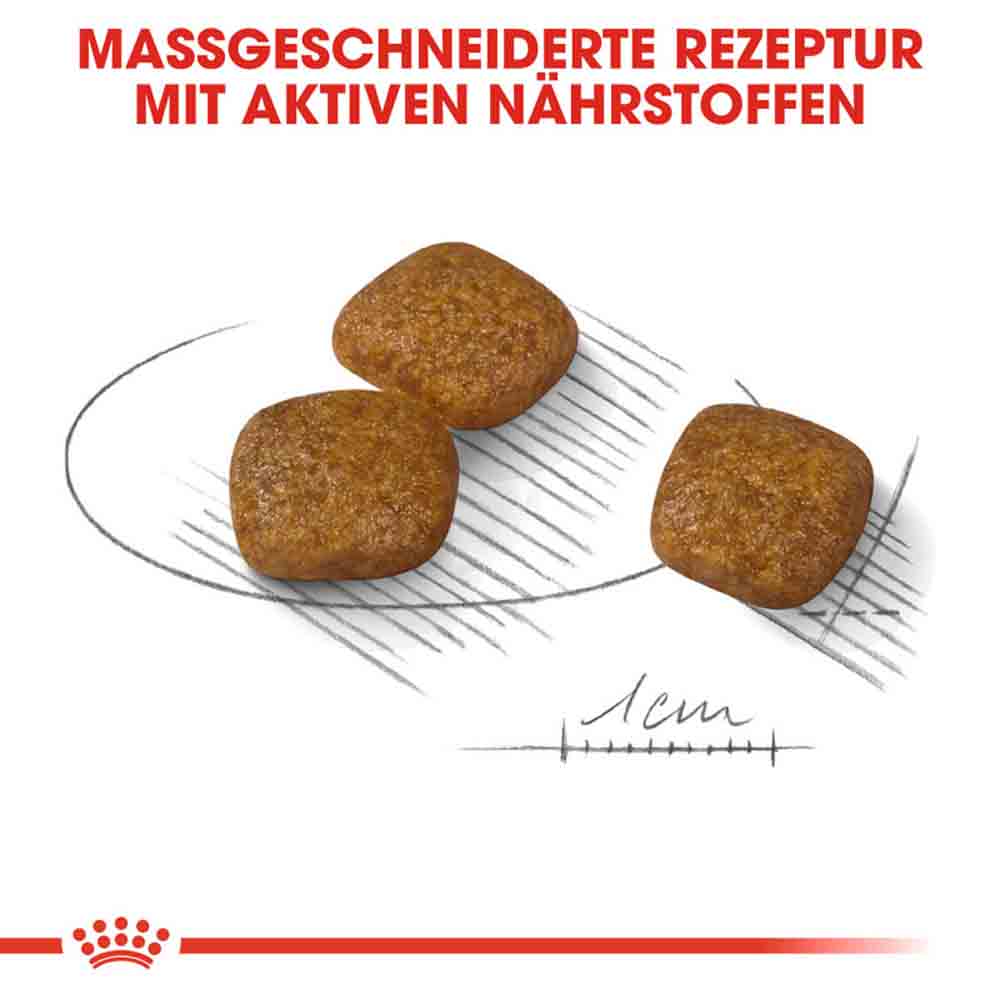 Royal Canin Urinary Care Mini Trockenfutter für kleine Hunde mit empfindlichen Harnwegen_4