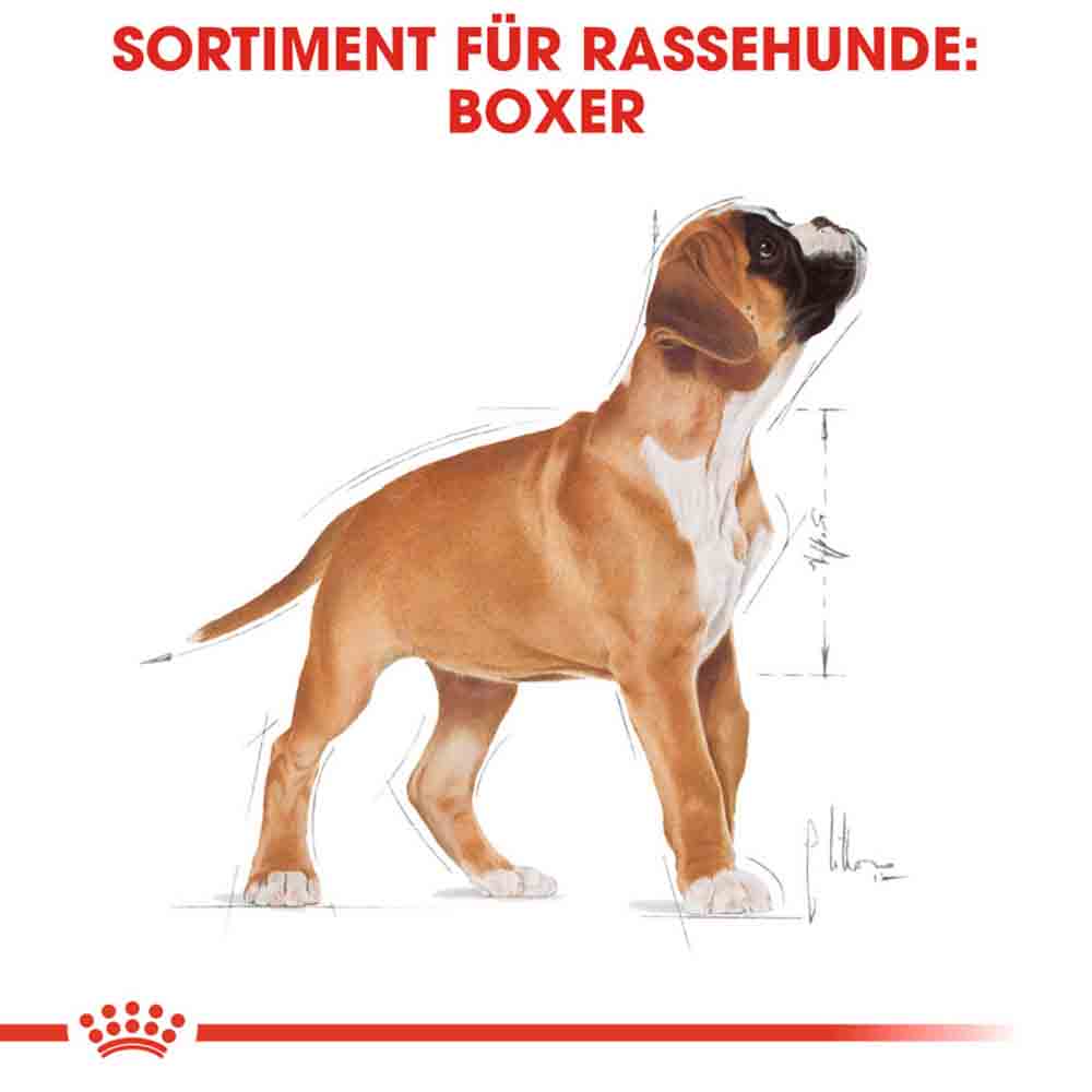Royal Canin Boxer Puppy Welpenfutter trocken_5