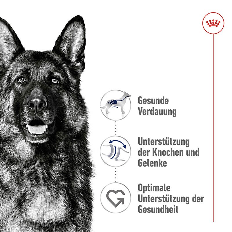 Royal Canin Maxi Adult Trockenfutter für große Hunde_1