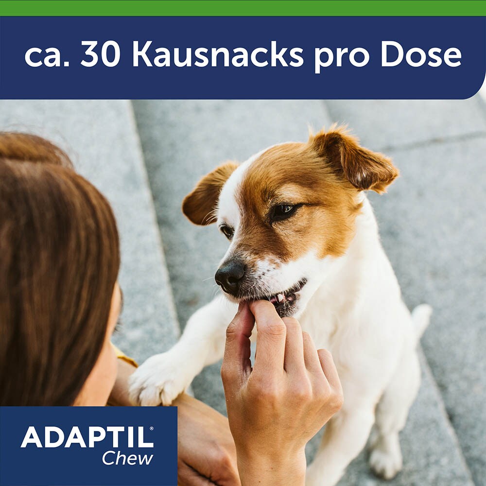 Adaptil Chew_1