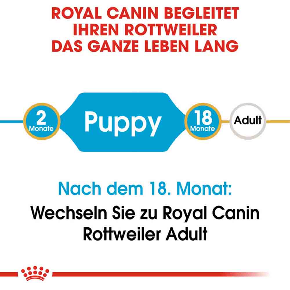 Royal Canin Rottweiler Puppy  Hunde_2