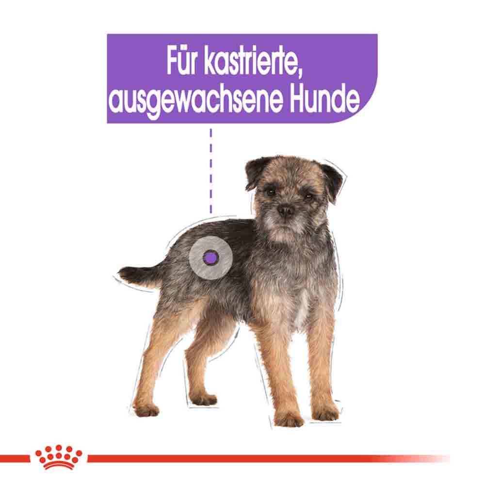 Royal Canin Sterilised Mini Trockenfutter für kastrierte kleine Hunde_2