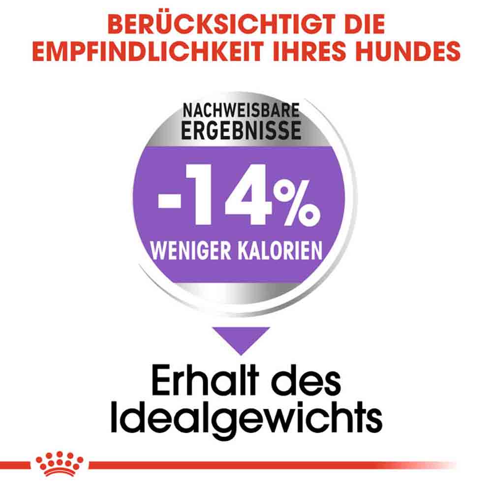 Royal Canin Sterilised Maxi Trockenfutter für kastrierte große Hunde_3