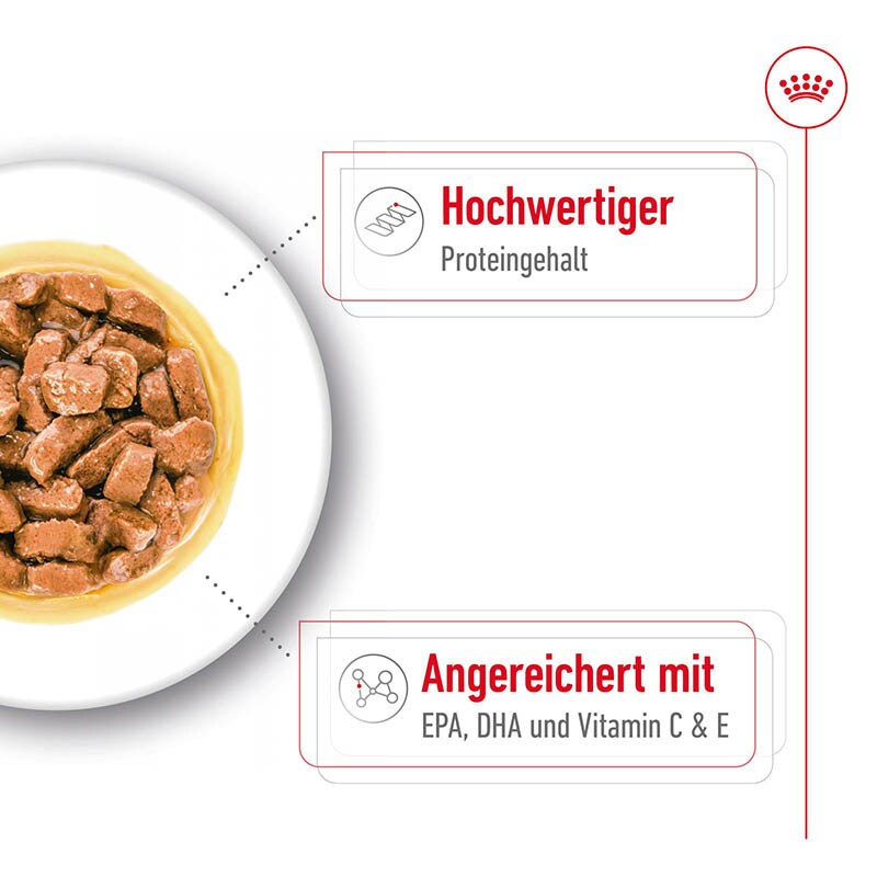 Royal Canin Medium Ageing Feuchtnahrung als Stückchen in Soße (>7. Lebensjahr)_2