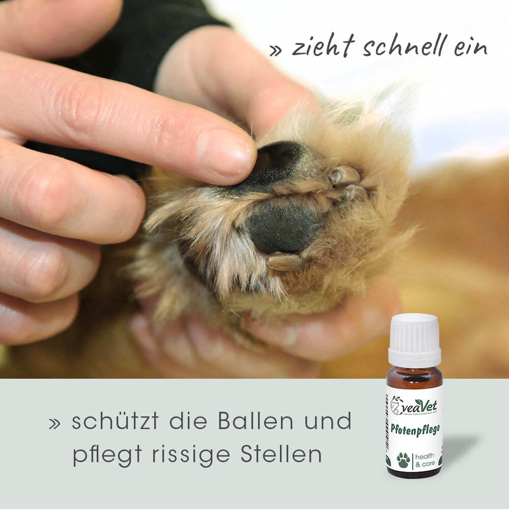 cdVet VeaVet Pfotenpflege_2