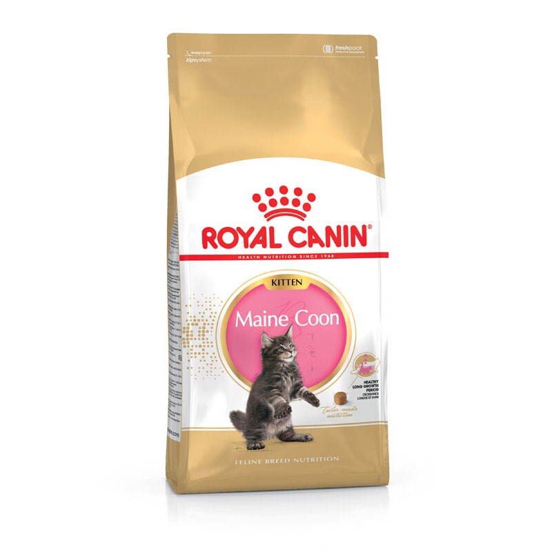 Royal Canin Maine Coon Trockenfutter für Kätzchen_1