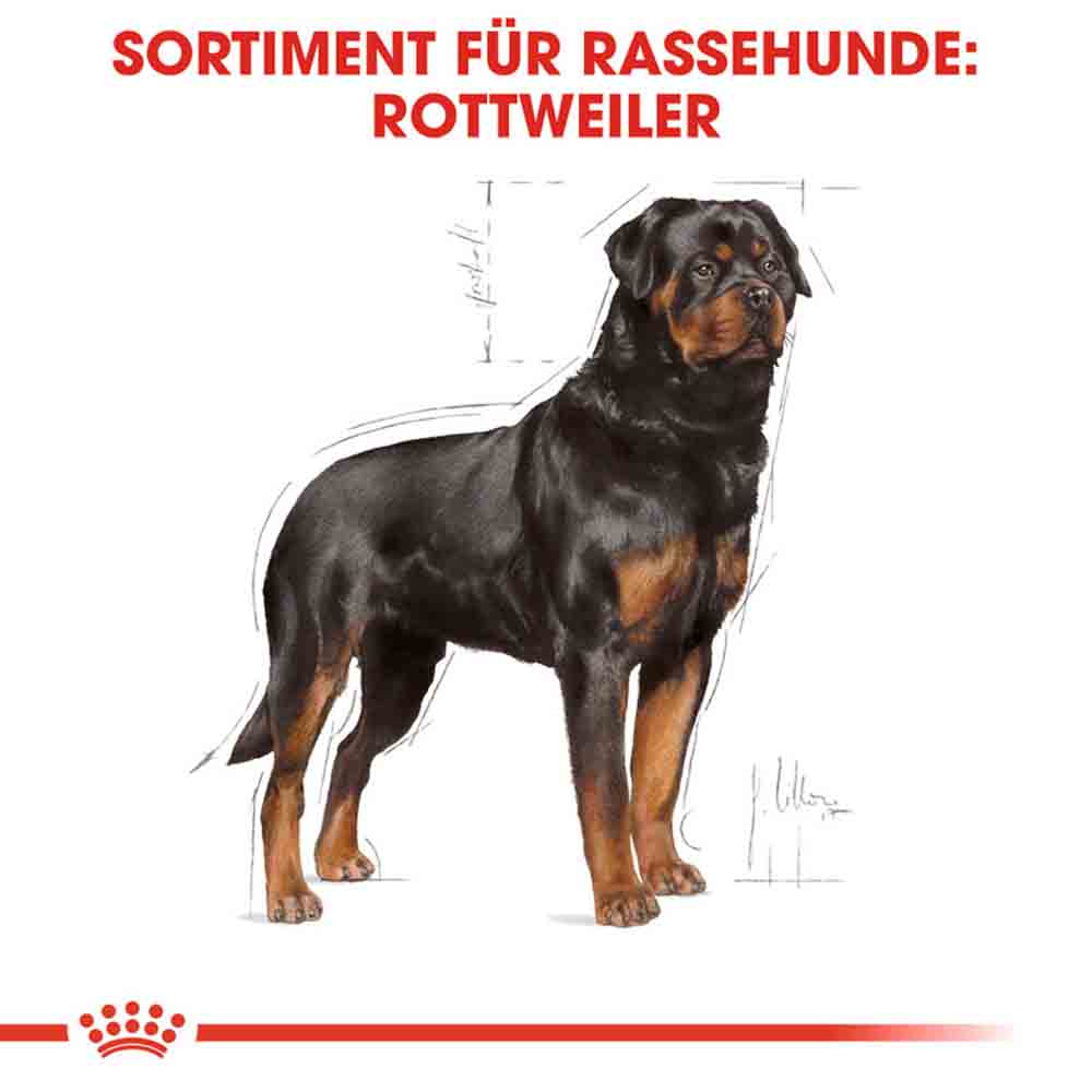 Royal Canin Rottweiler Adult Hundefutter trocken_2