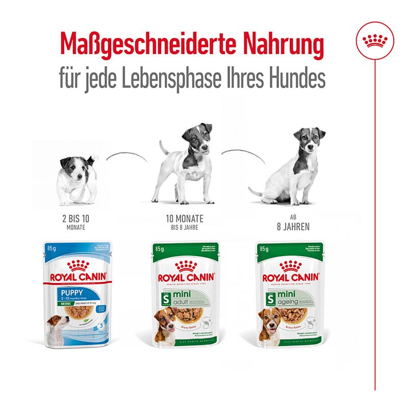 Royal Canin Mini Ageing Feuchtnahrung als Stückchen in Soße (>8. Lebensjahr)_5