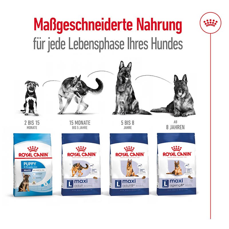 Royal Canin Maxi Adult 5+ Trockenfutter für ältere große Hunde_5