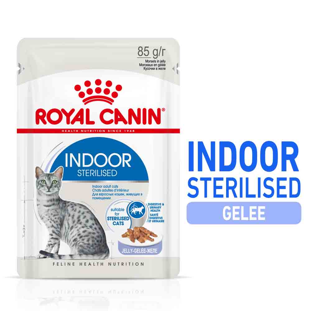 Royal Canin Indoor Sterilised in Gelee Nassfutter für Wohnungskatzen_0