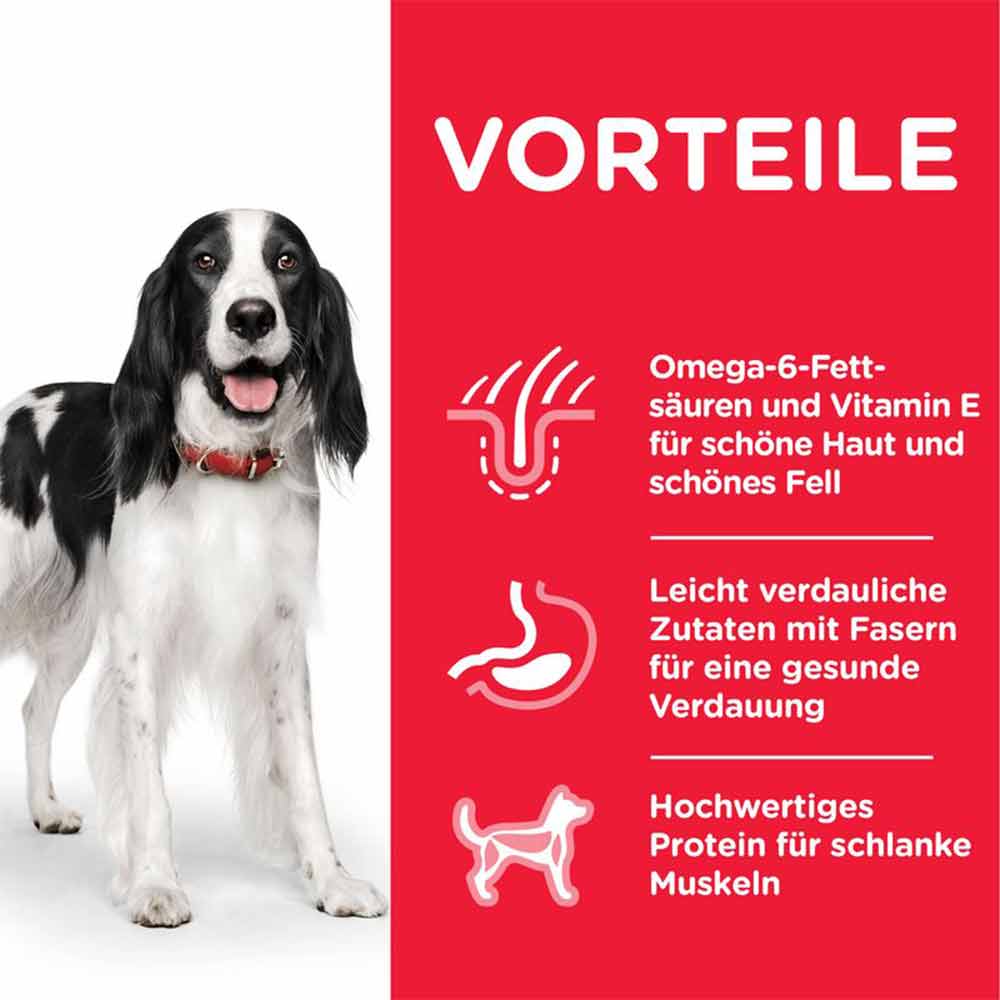 Hills Science Plan Adult Rind Nassfutter für Hunde_1