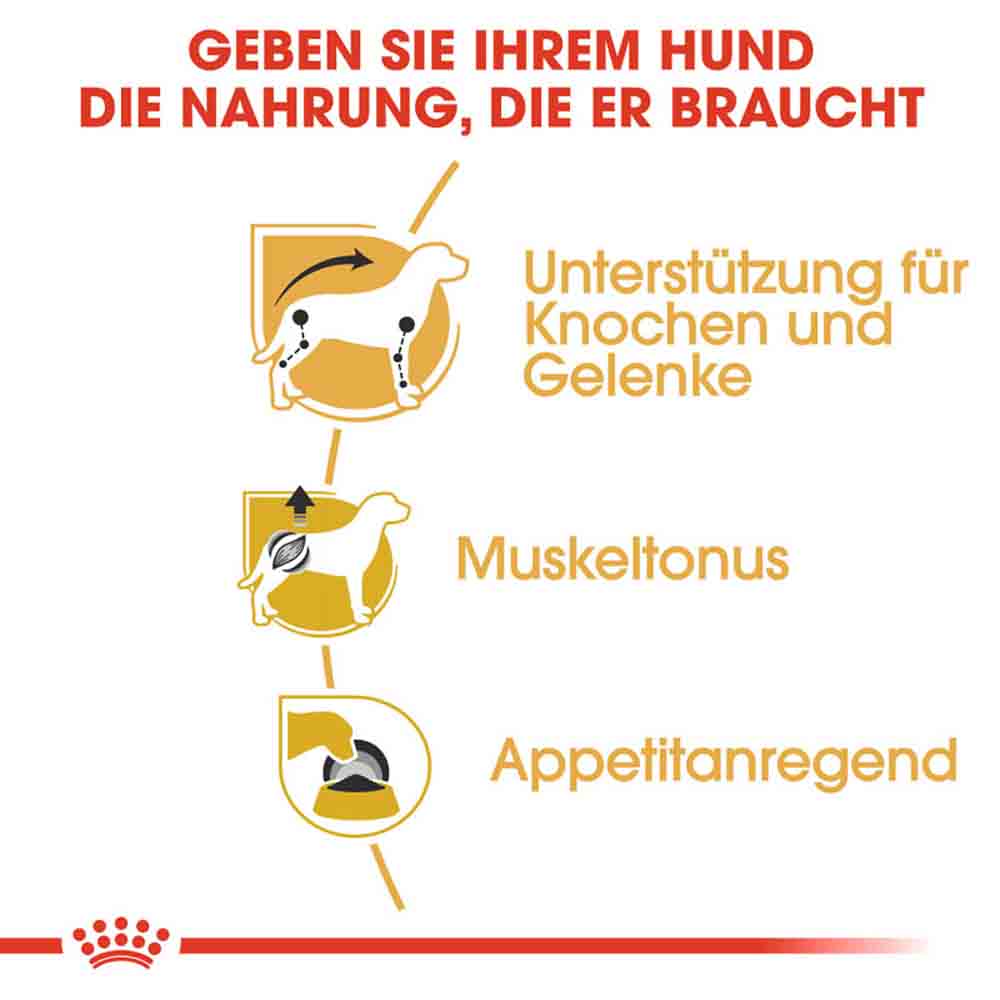 Royal Canin Dachshund Adult Hundefutter nass_3