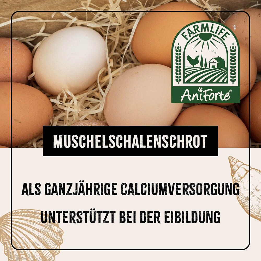 AniForte Muschelgrit _3