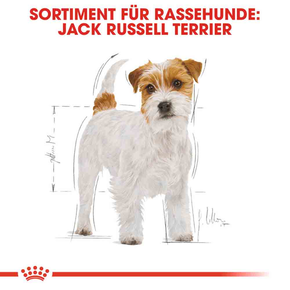 Royal Canin Jack Russell Terrier Adult Hundefutter trocken_2