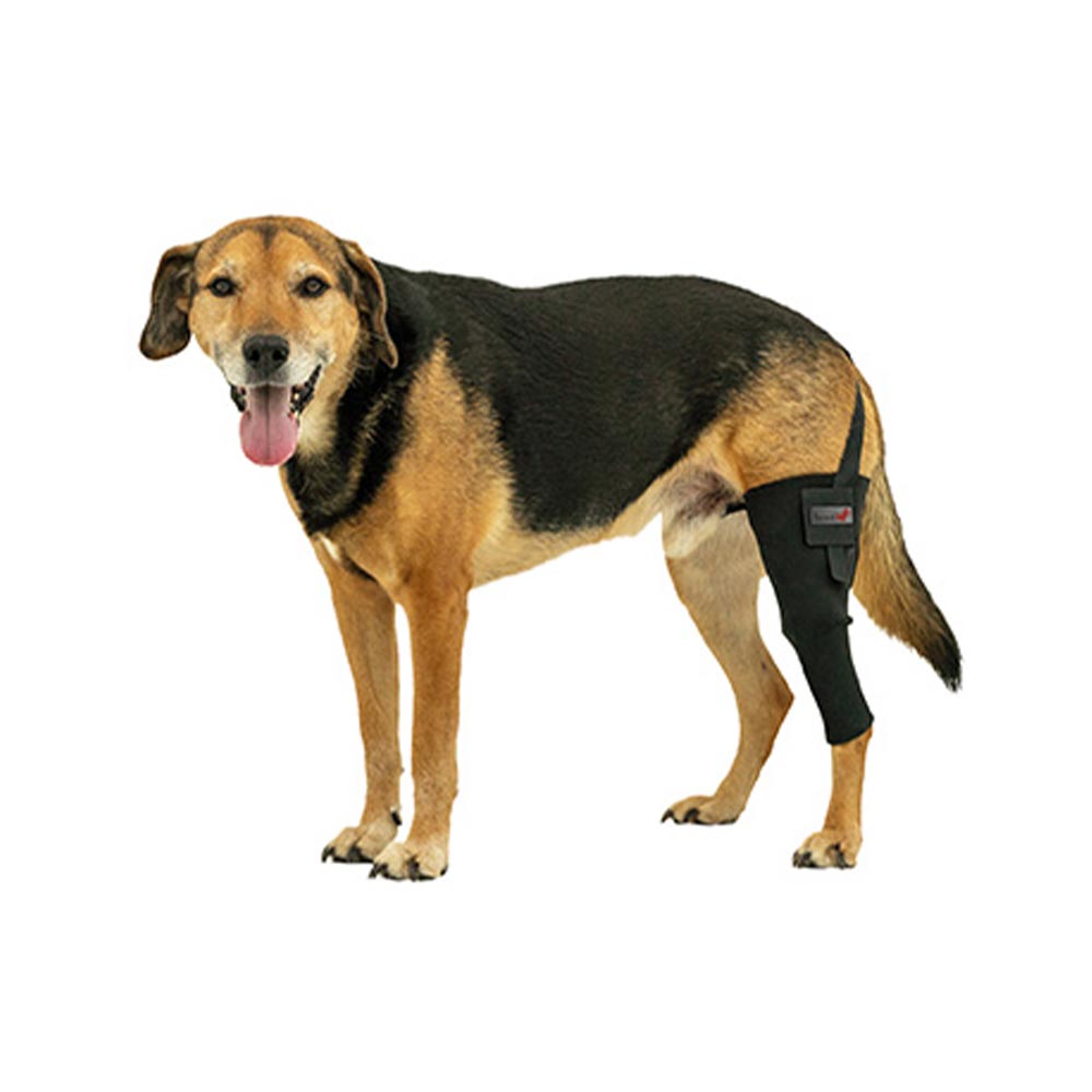Tierarzt24 Neopren Knieprotektor rechts _0