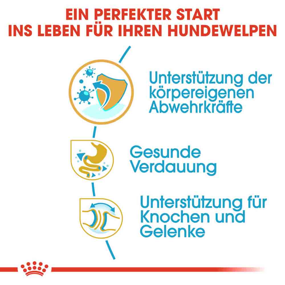 Royal Canin Bulldog Puppy Welpenfutter trocken_3