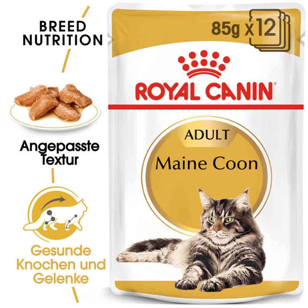 Royal Canin Maine Coon Adult Katzenfutter nass_0