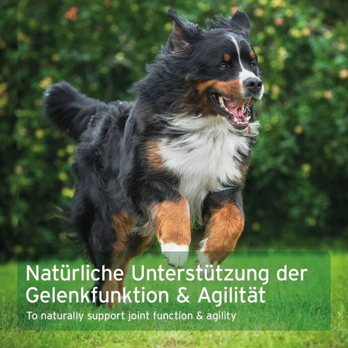 AniForte AgilityVET Gelenktabletten_6