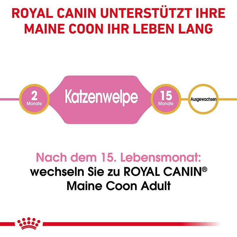 Royal Canin Maine Coon Trockenfutter für Kätzchen_3