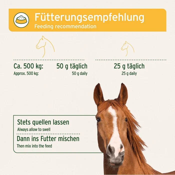 AniForte Indische Flohsamen für Pferde_3