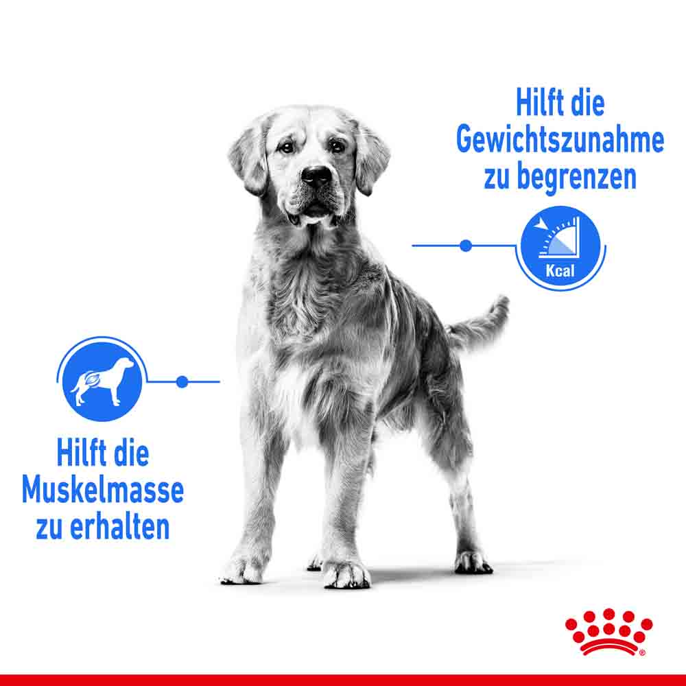 Royal Canin light weight care Medium Trockenfutter für zu Übergewicht neigenden Hunden _2