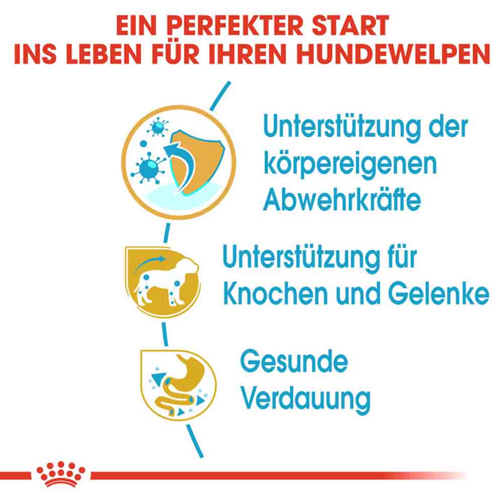 Royal Canin Dachshund Puppy Welpenfutter trocken_3