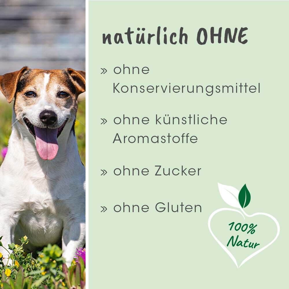 cdVet dentaVet Atemfrisch_4
