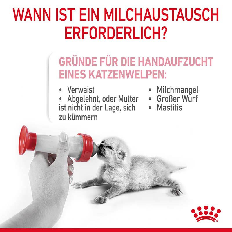 Royal Canin Babycat Milk Milchpulver als Ersatzmilch für die Ernährung von Katzenwelpen_4